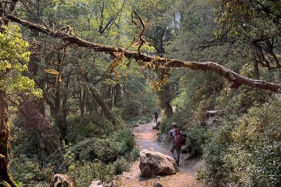 Trekking through Namrung Village during Manaslu Circuit Trek
